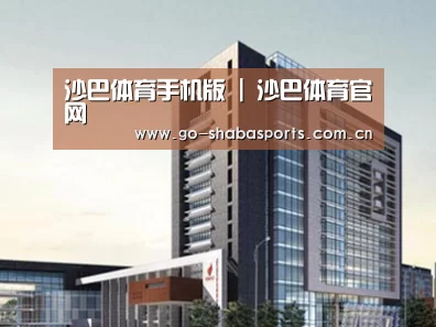 案例展示七