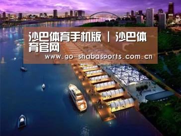 案例展示八