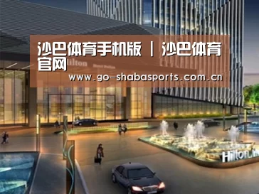案例展示二