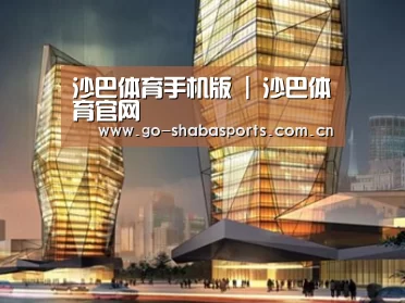 案例展示三