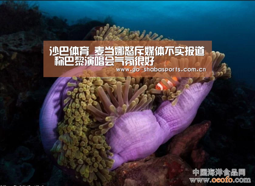 沙巴体育_麦当娜怒斥媒体不实报道 称巴黎演唱会气氛很好(图1) 沙巴体育